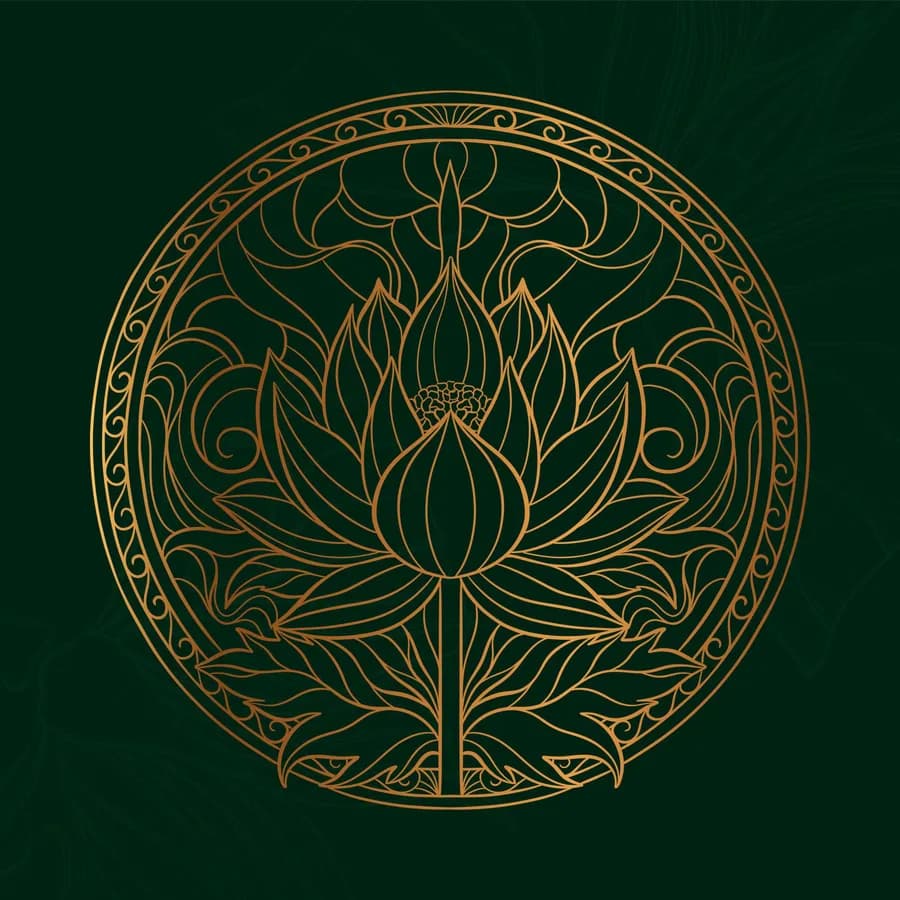 Photo of MH Lotus